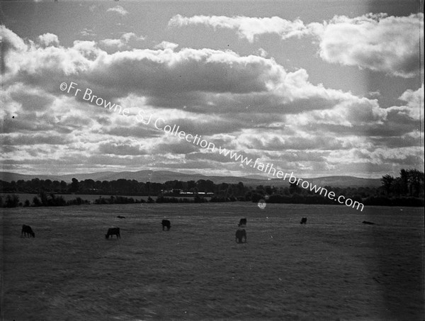 PANORAMA CLOUDS